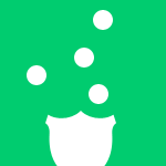ico-pachi